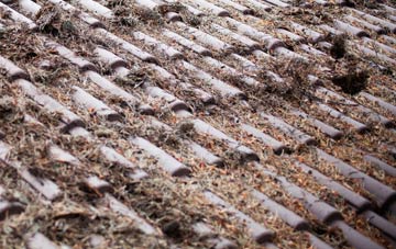 Hingham roof cleaning companies